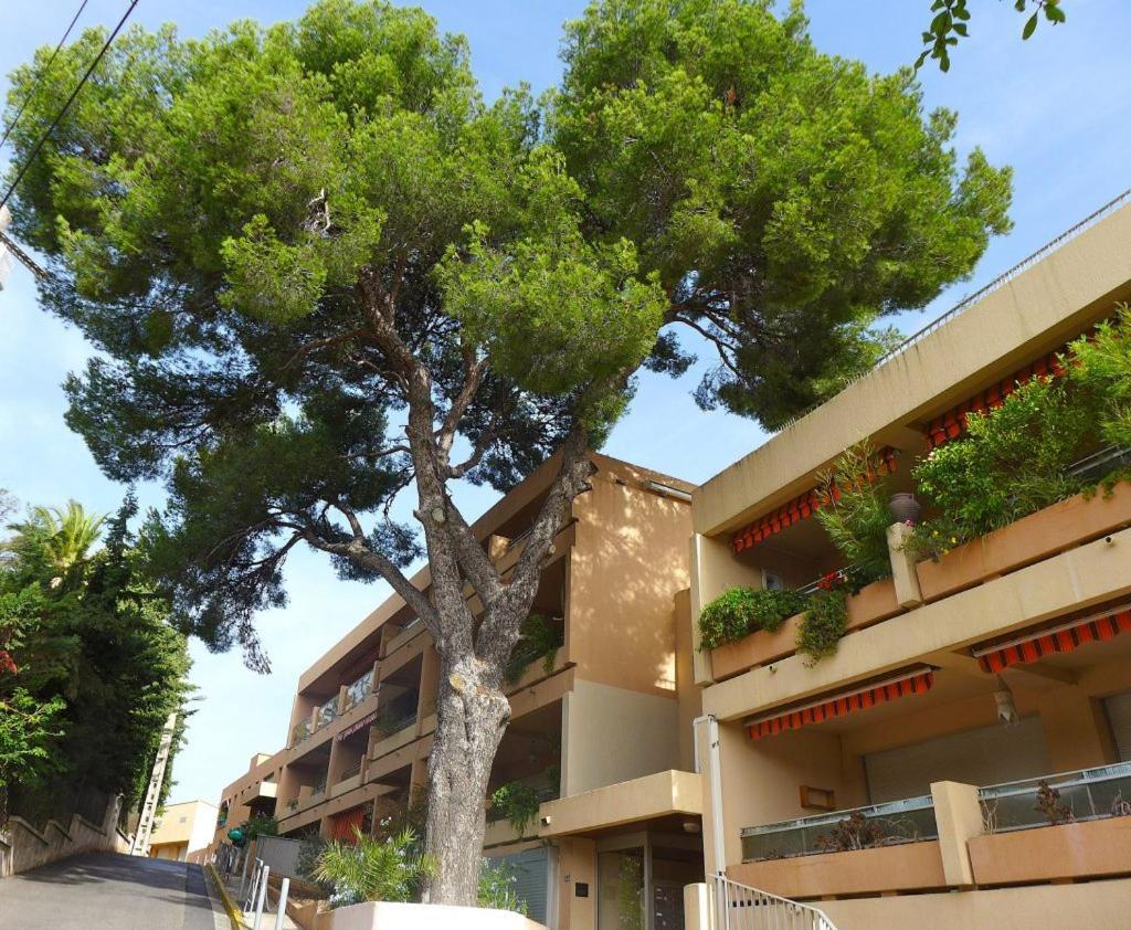 Studio Bandol Centre 2 Etoiles Ideal Emplacement エクステリア 写真