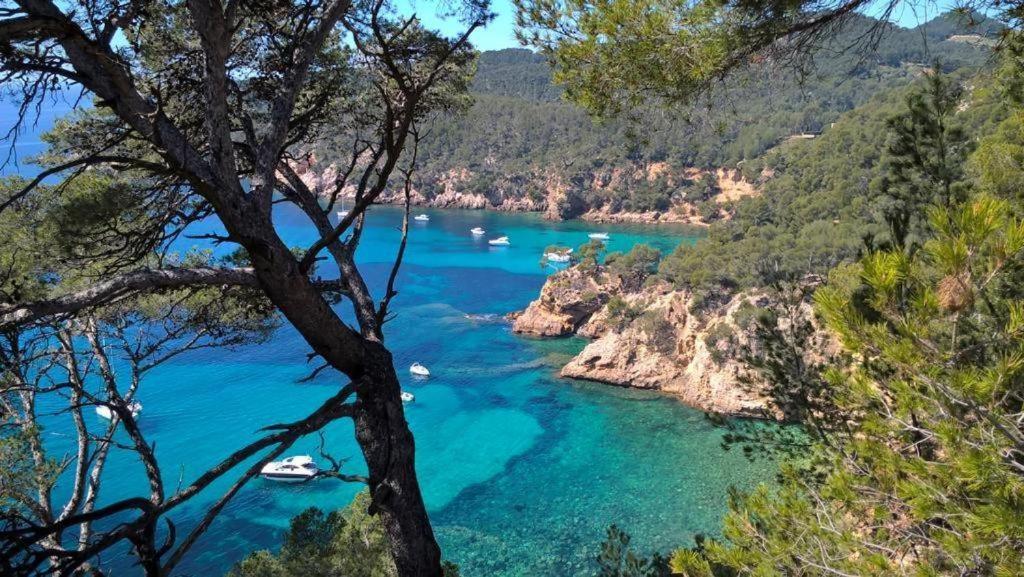 Studio Bandol Centre 2 Etoiles Ideal Emplacement エクステリア 写真